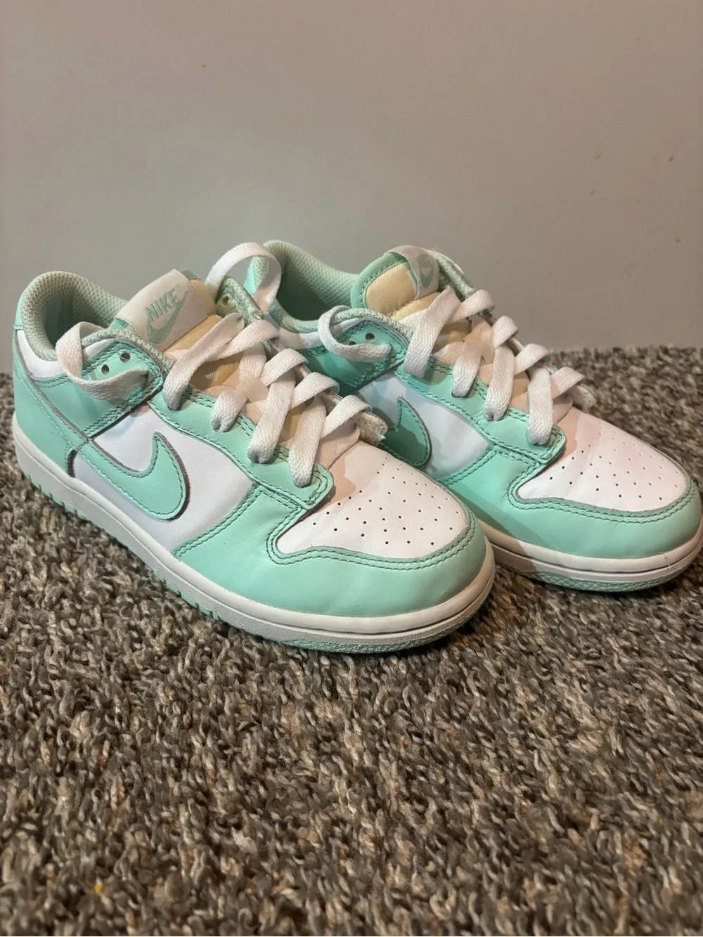 Nike classic low